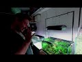 Freshwater Biologists AMAZING Garage Aquariums
