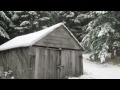 SNOWSTORM On Bainbridge Island 2008-2012