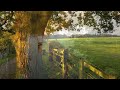 Nokia N8 Footage - Upton Country Park, from Dusk to Dawn