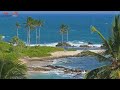 Wild and Beautiful: Windy Day on the Coast of Kauai, Natural Ambience to Relax Study or Sleep