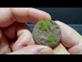 How to Make Mud for Miniatures - Cheap Stirland Mud Alternative