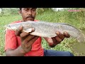 Fish Hunting 🎣🦈Awesome Fish Hunting Cat Fish Catching Mancing fishing Baam fishing Village FISHING