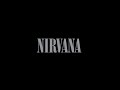 Smells Like Team Spirit - Nirvana full GarageBand cover!