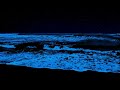 Best While Noise Ocean Sounds - Ocean Sounds For Deep Sleeping - Dark Screen And Rolling Waves