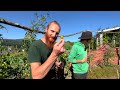 HOW DOES PERMACULTURE WORK IN PRACTICE I Crash course for Self-Sufficiency