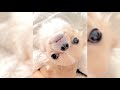 Funny and Cute Chihuahuas ❤️ | FunMomy