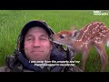 Injured Fawn Deer In Rocky Mountains Gets Adopted | The Dodo Faith = Restored