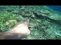 Snorkeling coral reefs in the Phillipines.