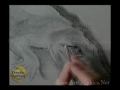 How to draw animals : Alligator, real time art video (part 2 of 6)