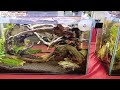 Pameran & Kontes Live setting Aquascape di Citimall Cianjur