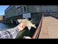 Fishing Below Guntersville Dam (Pulling Over 35,000gps)