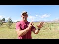 Buying Land in Wyoming - The Cold Hard Truth