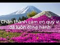 CON RỂ ĐƯA CHO SỐ TIỀN LỚN ĐỂ SỬA NHÀ VÀ HÀNH ĐỘNG SAU ĐÓ LÀM BỐ VỢ CHỈ MONG CON GÁI BỎ CHỒNG