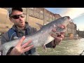 Drifting Cut Bait Below The Dam For Big River Catfish (Late Fall Fishing)