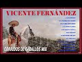 VICENTE FERNANDEZ PUROS CORRIDOS DE CABALLOS MIX 🔥 VICENTE FERNANDEZ LAS MEJORES RANCHERAS