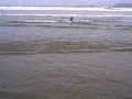Video da praia