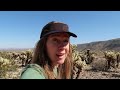 Visiting Joshua Tree National Park:  Helpful Tips + Campground Info