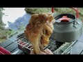 Grilled Chicken At The River | Not Solo | Silent Camping Outdoor ASMR | #18