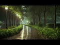 Relaxing your Mind, Body, and Soul! Gentle Rain Sounds for Sleeping, 99% Sleep Instantly & Calming