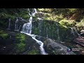 CALMING MOUNTAIN STREAM FOR HEALING: CALM YOUR MIND, BODY, AND SOUL Relaxing Nature Sounds