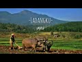 SUNSURYA - LADANGKU ( Official Audio Original Song )