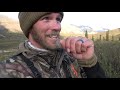 2020 Proving Ground // NWT Dall Sheep with Levi Morgan