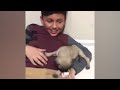 Try Not To Laugh Watching Funny Animal Fails Compilation November 2018 #1 - Co Vines✔