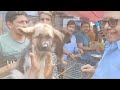 Kolkata dog 🐕 market|| Gaillf street pet market