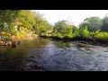 A peaceful atmosphere with the sound of a gently flowing river for brain therapy, ASMR