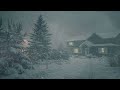 Calming Windstorm and Snowfall Sounds for Inner Peace and Mental Clarity