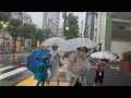 [4K] Early Morning Tokyo Walk In Heavy Rain (Typhoon) 🌀☔️💨| Japan. #asmr #japan #heavyrain