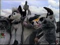 Anthrocon 2017 Afternoon Fursuit Cruise