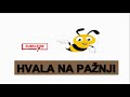 Pčele Posle Bagrema - Razrojavanje Košnice