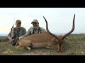 The Ultimate SA Hunting Safari - four weeks, three regions, many animals!  Part 1