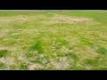 ST360 quadcopter ARF