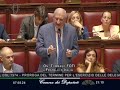 BAGARRE IN AULA DURANTE L'INTERVENTO DI FOTI SULL'ORDINE DEL GIORNO