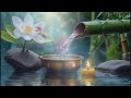 Soothing Nature Sounds for Study and Sleep, Relaxation and Stress Relief, Calm music, meditation