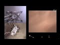 Onboard video of perseverance rover