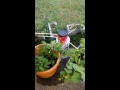Automatic garden watering system