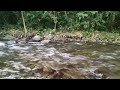 The sound of a flowing river is beautiful, naturally relieves tiredness, lullaby, ASMR