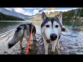 My Husky Adventures In The Stunning Canadian Rockies!