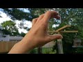 Squirrel-Proof Bird Feeder Pole | How To, Easy DIY