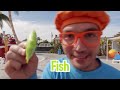 Blippi Explores a Water Park! | Learn ABC 123 | Educational Videos | Songs and Rhymes | Moonbug Kids
