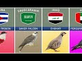 National Birds From Different Countries