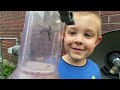REAL BUGS Vacuum BUG CITY- Bug Hunt Kids!! STINK BUG, Spiders, ROLY POLY, Worm, TOAD, Beetle & More!