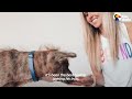 Dog Who Couldn't Stop Shaking Becomes A Snugglebug | The Dodo