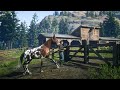 HORSE AUCTION AND BARN MORNING ROUTINE - Red Dead Redemption 2 Realistic Roleplay | Pinehaven