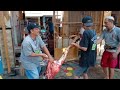 Qorban Masjid Darussalam Probolinggo #iduladha #iduladha2024 #lebaran #kurban #sapi #kambing