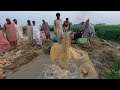 Borewell Installation Complete Process | Tubewell Installation In Pakistan