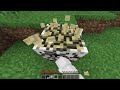 I Found The FUNNIEST FAKE Minecraft Speedruns EVER